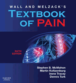Wall Melzack